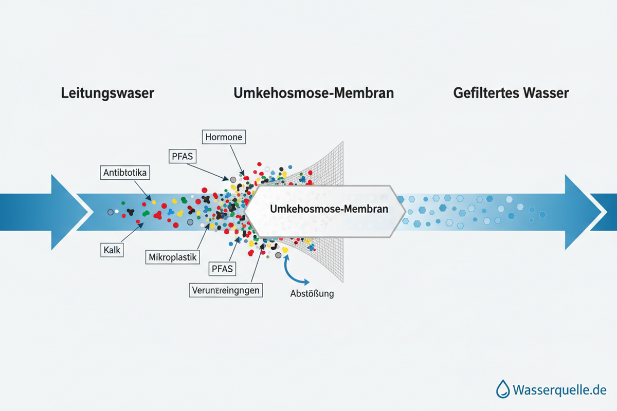 Ersatzfilter & Membranen