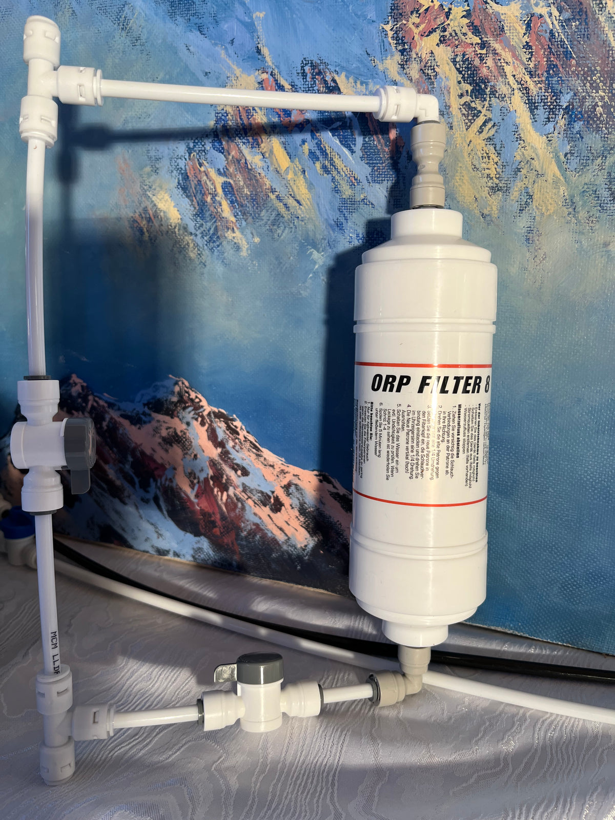 ORP Filter Modul  für basisches Wasser